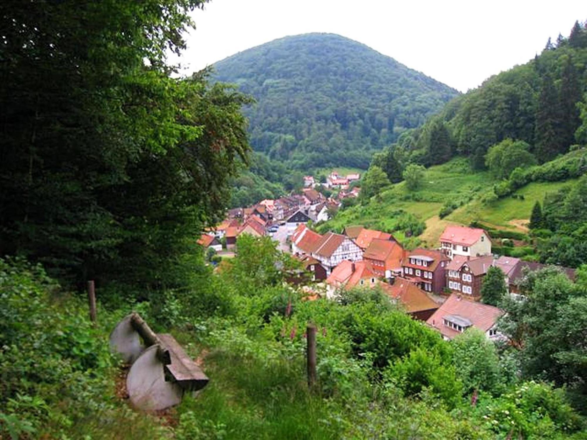 Spacious Group House In The Harz Region Zorge Zewnętrze zdjęcie